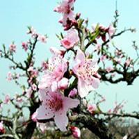 广州笑翻天乐园17616