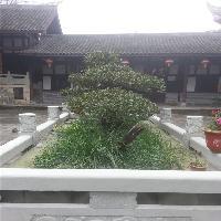 中泰天心佛文化旅游区19778