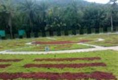 三亚南天生态大观园怎么玩？附游玩路线