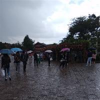 丽江古城许愿林