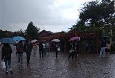 丽江古城：许愿林