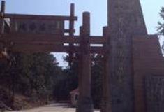 温州四海山森林公园怎么玩？附游玩路线