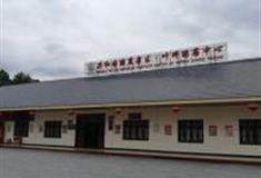 赣州叶坪景区怎么玩？附游玩路线