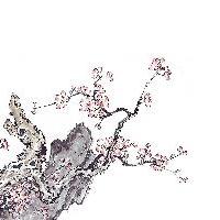 上海大观园17609