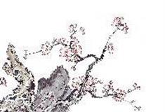 上海大观园：中国字画