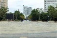 上海张江艺术公园怎么玩？附游玩路线