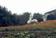 重庆鹅岭公园怎么玩？附游玩路线