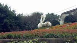 重庆鹅岭公园怎么玩？附游玩路线