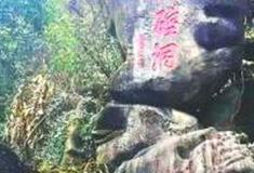 龙岩龙硿洞怎么玩？附游玩路线