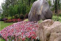 上海江浦公园怎么玩？附游玩路线