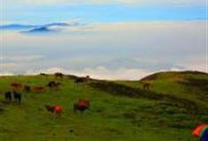 赣州屏山牧场怎么玩？附游玩路线