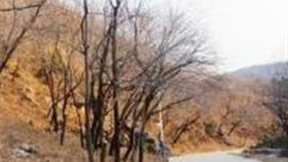 北京北大沟林场怎么玩？附游玩路线