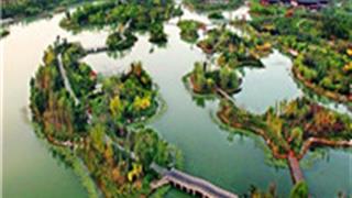 潍坊白浪绿洲湿地公园怎么玩？附游玩路线