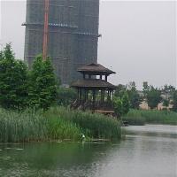 长沙洋湖湿地公园18311