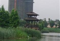 长沙洋湖湿地公园：揽秀亭