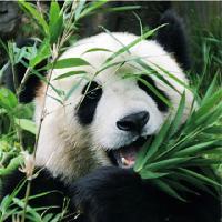 苏州太湖国家湿地公园19303