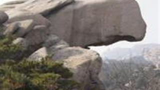 青岛崂山棋盘石怎么玩？附游玩路线