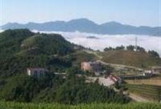 龙岩云顶观光茶园怎么玩？附游玩路线