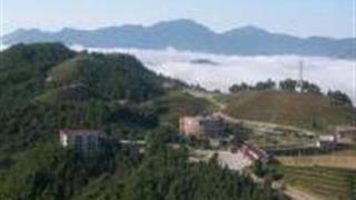 龙岩云顶观光茶园怎么玩？附游玩路线