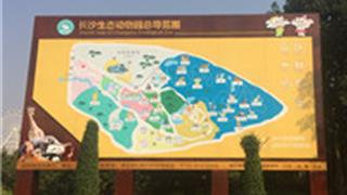 长沙生态动物园怎么玩？附游玩路线