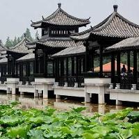 三水荷花世界香水莲观赏区