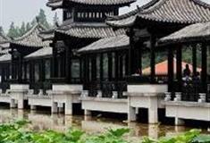 三水荷花世界：香水莲观赏区