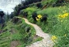 金华金杭古道怎么玩？附游玩路线