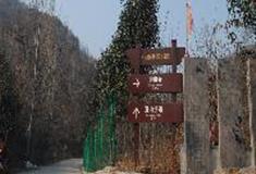 伏羲山神仙洞：铜佛寺