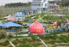 烟台马家庄现代生态园怎么玩？附游玩路线