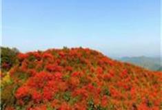 赣州八卦脑景区怎么玩？附游玩路线