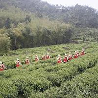 广东第一峰旅游风景区18377