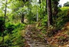 温州金山古道怎么玩？附游玩路线