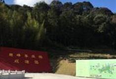 泉州德峰茶庄园怎么玩？附游玩路线