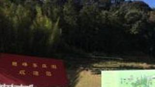 泉州德峰茶庄园怎么玩？附游玩路线