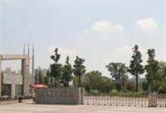 上海大宁郁金香公园怎么玩？附游玩路线