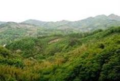 六安张店镇生态旅游核心区怎么玩？附游玩路线