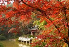 南京栖霞山怎么玩？附游玩路线