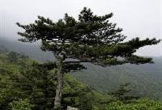 白马尖：刀劈石