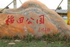 郴州安仁稻田公园怎么玩？附游玩路线