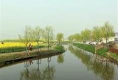 苏州张家港常阴沙生态农业旅游区怎么玩？附游玩路线