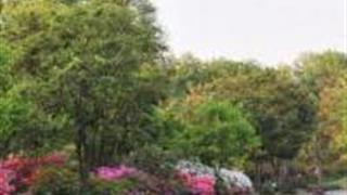 天津健康教育主题公园怎么玩？附游玩路线