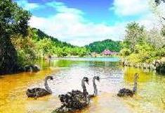 中国虎园：天诉池