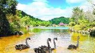 中国虎园：天诉池