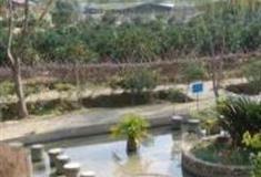 福州白沙湾生态农庄怎么玩？附游玩路线