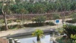 福州白沙湾生态农庄怎么玩？附游玩路线