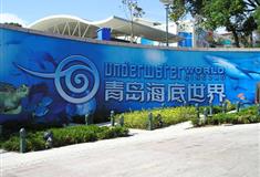 青岛海底世界怎么玩？附游玩路线