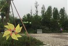 长沙洋湖湿地公园：科普小广场