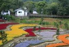 温州郑宅村怎么玩？附游玩路线