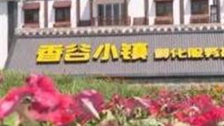 抚州香谷小镇怎么玩？附游玩路线