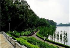 佛山三水森林公园怎么玩？附游玩路线